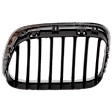 Passenger Side Grille Chrome Shell with Black Insert