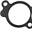 037-4869 Lower Intake Plenum Gasket