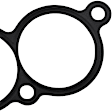 037-4869 Lower Intake Plenum Gasket