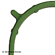 037-4876 Lower Intake Plenum Gasket