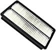 042-1624 Air Filter OE Replacement Series