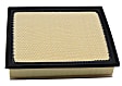 042-1916 Air Filter