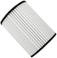 042-1954 Air Filter