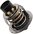 143-0957 Thermostat