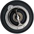 143-0958 Thermostat