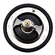 143-0848 Thermostat