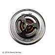 143-0927 Thermostat