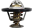 143-0970 Thermostat
