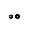 24-186735 Front, Driver or Passenger Side Shock, B8 5100 Series