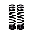 53-317315 Front Coil Springs, Set of 2 B12 Special Series