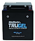 780500 NON-RETURNABLE Battery - Universal, Sold Individually