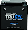 780528 NON-RETURNABLE Battery - Universal, Sold Individually