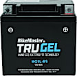 780537 NON-RETURNABLE Battery - Universal, Sold Individually