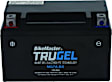 780538 NON-RETURNABLE Battery - Universal, Sold Individually