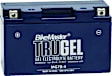 780539 NON-RETURNABLE Battery - Universal, Sold Individually