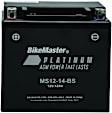 2022 BMW R1250GS Adventure 40 Years GS Edition - NON-RETURNABLE Battery - Universal, Sold Individually