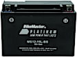 780717 NON-RETURNABLE Battery - Universal, Sold Individually