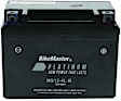 780730 NON-RETURNABLE Battery - Universal, Sold Individually