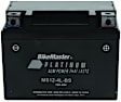 780731 NON-RETURNABLE Battery - Universal, Sold Individually