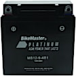780743 NON-RETURNABLE Battery - Universal, Sold Individually