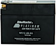 780749 NON-RETURNABLE Battery - Universal, Sold Individually