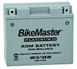 780762  AGM Battery - MS12-12B-BS