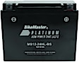 780765 NON-RETURNABLE Battery - Universal, Sold Individually