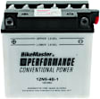 781041 NON-RETURNABLE Battery - Universal, Sold Individually