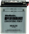 781119 NON-RETURNABLE Battery - Universal, Sold Individually