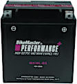 781139 NON-RETURNABLE Battery - Universal, Sold Individually