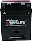 781308 NON-RETURNABLE Battery - Universal, Sold Individually