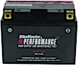 781383 NON-RETURNABLE Battery - Universal, Sold Individually
