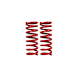 SP034R Front Lowering Springs - Set of 2