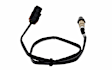 16079 Oxygen Sensor, Sold Individually
