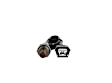 16567 Oxygen Sensor, Sold Individually