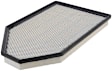 5436WS Air Filter