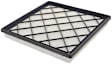 5538WS OE Replacement Dry Air Filter OE Replacement Series