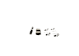 2021 Kia Forte - Rear Ceramic Brake Pad Set, 2.0L 4Cyl, QuietCast Series