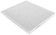 P3953WS Cabin Air Filter