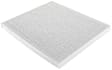 P3953WS Cabin Air Filter