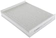 P3955WS Cabin Air Filter