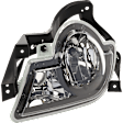 Front, Passenger Side Fog Light, With Bulb, Halogen, For Models With Body Cladding