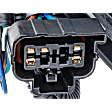 2005-2006 Chevrolet Silverado 1500 HD - Passenger Side Halogen Tail Light, with Bulb, Fleetside