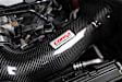 44018 Cold Air Intake, Dry Filter, Carbon Fiber Tube, Black