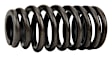 5184060AN Valve Spring - Direct Fit