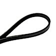 4030250 Serpentine Belt - Direct Fit, Sold Individually