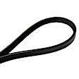 4030295 Serpentine Belt - Direct Fit, Sold Individually