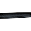 D4071161 Serpentine Belt - Direct Fit, Sold Individually