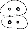 TB107-293K2 Timing Belt Kit, 2.5L, 4Cyl Water Pump Not Included
