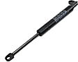 DZ43100 Direct Fit Tailgate Assist, Sold Individually
